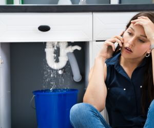 About Plumbers Pros La Mesa, NM